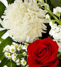 Load image into Gallery viewer, Red & White Sympathy Standing Spray