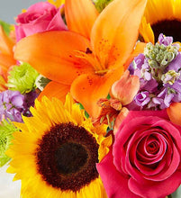 Load image into Gallery viewer, Birthday Surprise